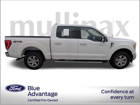 Used 2023 Ford F150 XLT w/ Equipment Group 302A High image 2