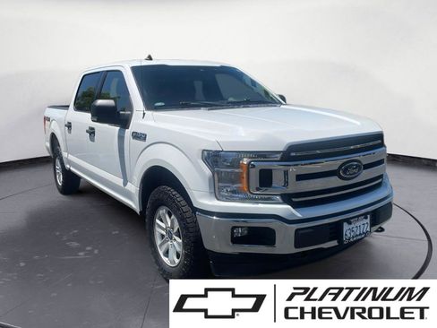 Used 2019 Ford F150 XLT w/ Equipment Group 301A Mid AWD/4WD image 1