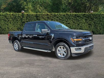 Used 2025 Ford F150 XLT w/ Equipment Group 301A Standard