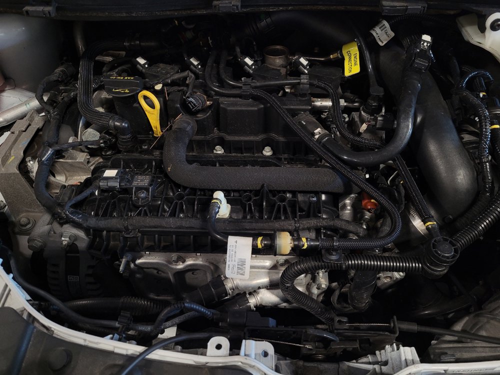 Used 2019 Ford Escape SE FWD image 30