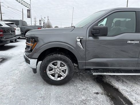 New 2025 Ford F150 XLT w/ Equipment Group 301A Standard image 7