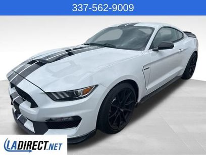 Used 2019 Ford Mustang Shelby GT350 w/ Technology Package