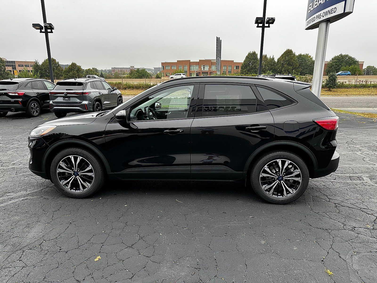 Used 2022 Ford Escape SEL w/ SEL Stealth AWD Package image 5