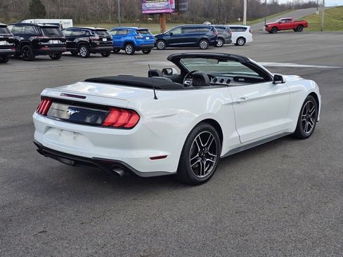 Used 2023 Ford Mustang Premium image 6