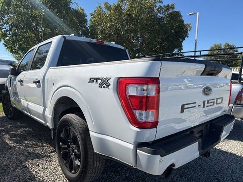 Used 2023 Ford F150 XL w/ STX Black Appearance Package image 2