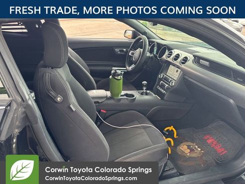 Used 2019 Ford Mustang GT w/ Equipment Group 301A RWD image 10