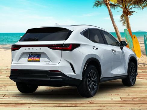 Used 2026 Lexus NX 350 AWD image 6