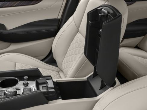 Used 2017 Nissan Maxima Platinum image 18