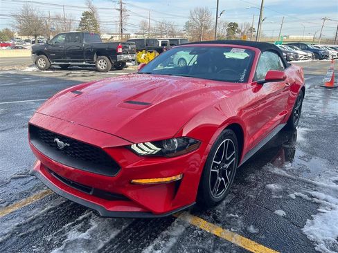 Used 2022 Ford Mustang Premium image 3