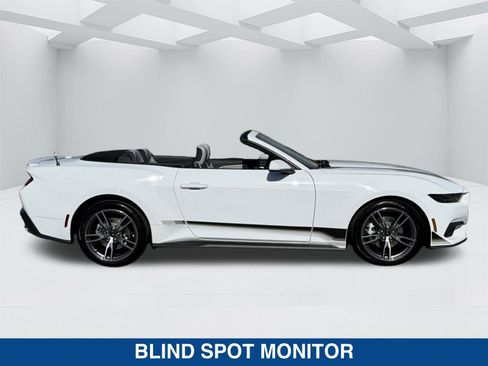 New 2025 Ford Mustang Premium w/ Wheel & Stripe Package image 3