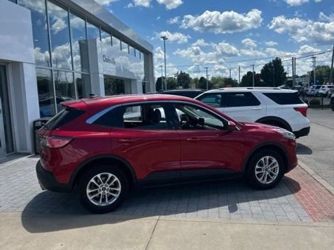 Used 2020 Ford Escape SE AWD/4WD image 9