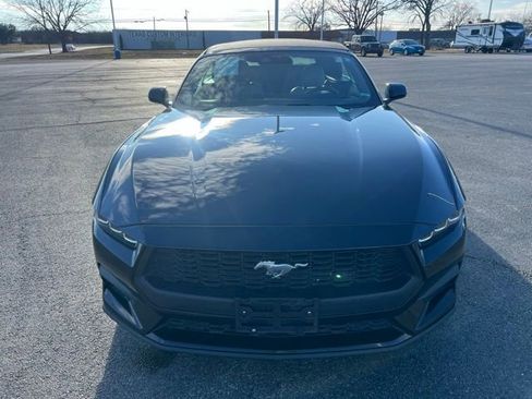 Used 2024 Ford Mustang Premium RWD image 2