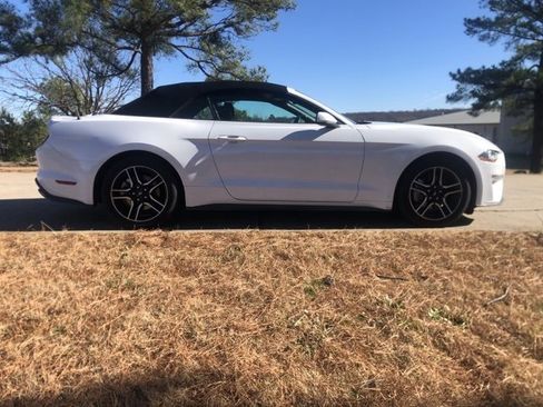 Used 2023 Ford Mustang Premium image 2