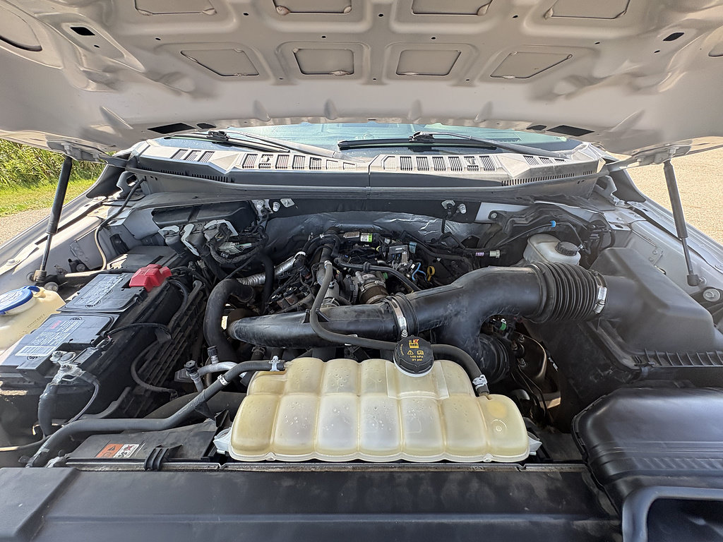 Used 2020 Ford F150 XL w/ Equipment Group 101A Mid AWD/4WD image 13