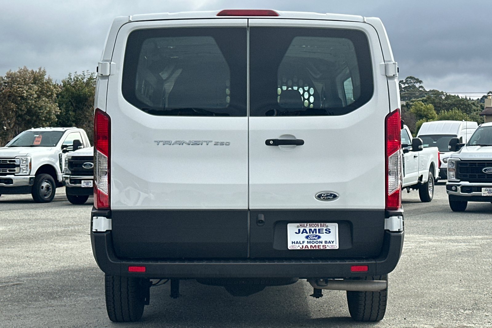 Used 2025 Ford Transit 250 Low Roof w/ Exterior Upgrade Package RWD image 4