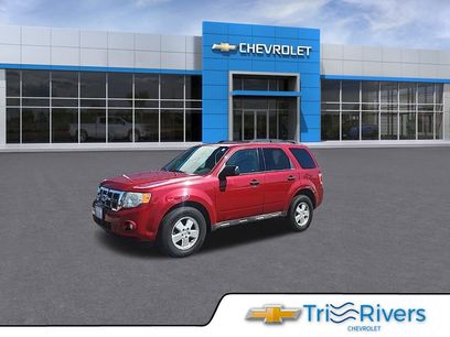 Used 2011 Ford Escape XLT