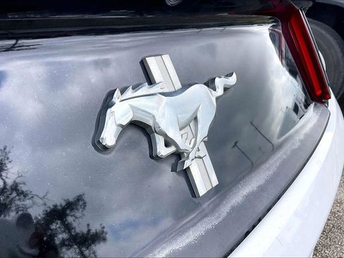 Used 2016 Ford Mustang Coupe image 20