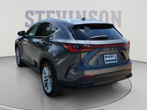 Certified 2025 Lexus NX 350h AWD w/ Cold Area Package image 3
