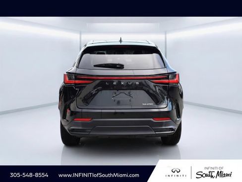 Used 2024 Lexus NX 250 FWD w/ Cold Area Package image 5