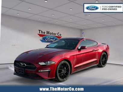 Certified 2019 Ford Mustang Premium w/ Pony Package