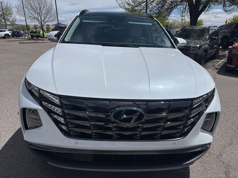 Used 2024 Hyundai Tucson Limited image 3