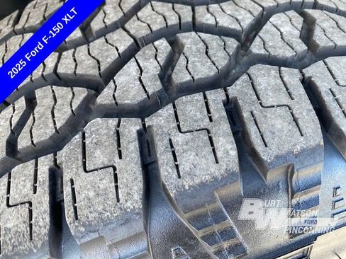 New 2025 Ford F150 XLT w/ Equipment Group 302A MID image 17