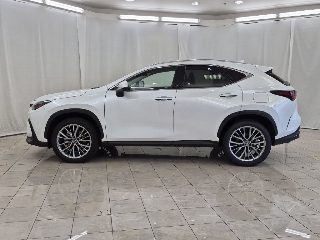 Certified 2024 Lexus NX 350 AWD w/ Vision Package image 5