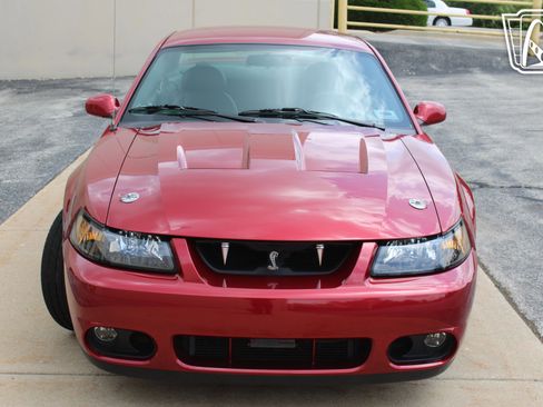 Used 2003 Ford Mustang Cobra RWD image 22