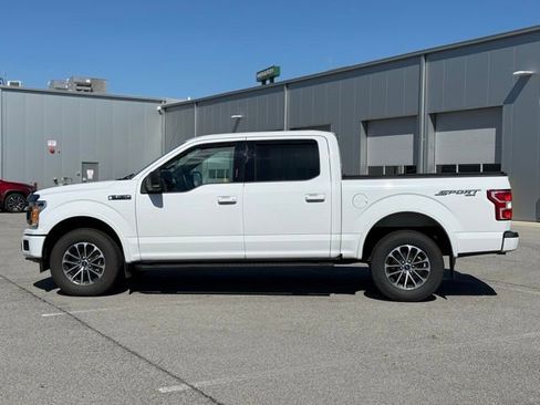 Used 2019 Ford F150 XLT w/ Equipment Group 302A Luxury image 4