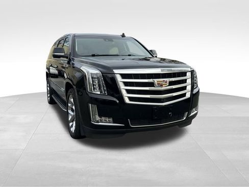 Used 2019 Cadillac Escalade ESV Luxury image 7