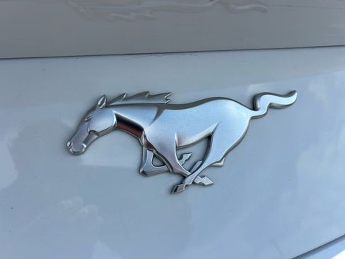 Used 2024 Ford Mustang Premium image 7