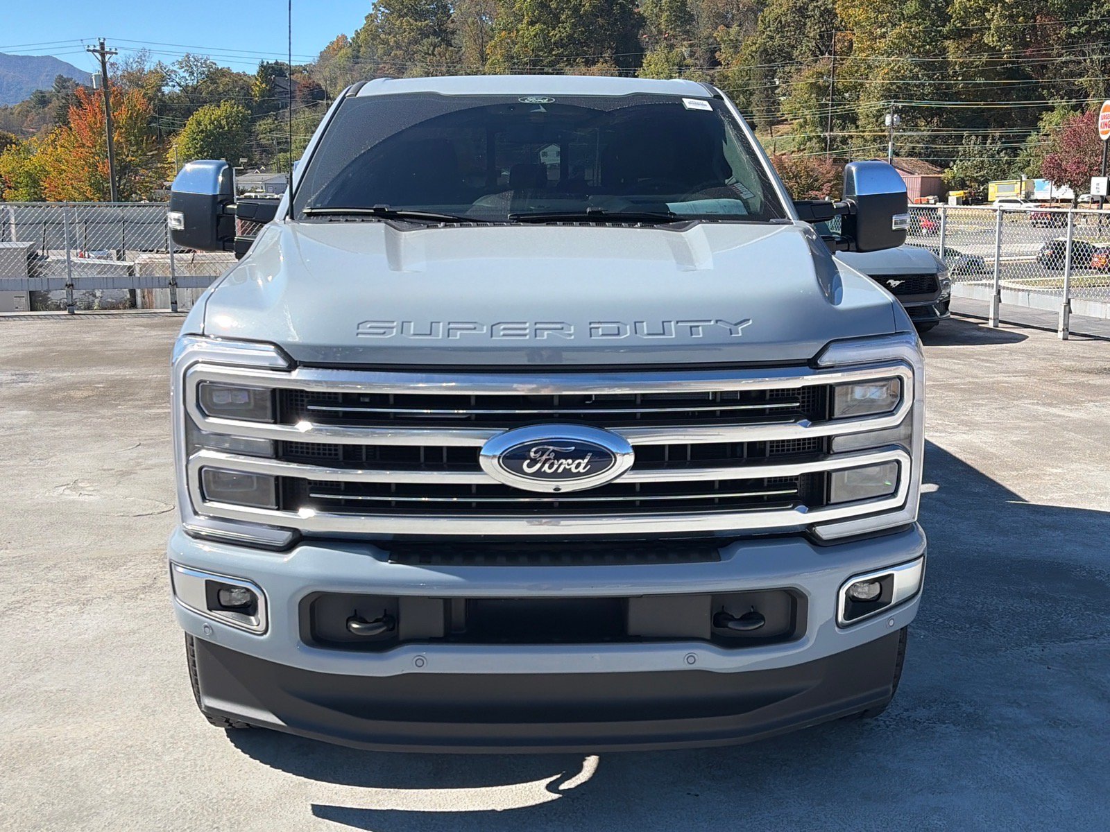 Used 2025 Ford F250 Platinum w/ Platinum Plus Package AWD/4WD image 6