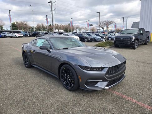 New 2026 Ford Mustang Premium w/ Mustang Nite Pony Package image 3