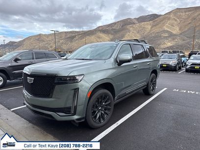 Used 2024 Cadillac Escalade Sport w/ LPO, ONYX Package