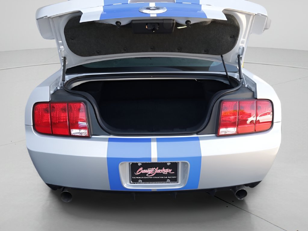 Used 2008 Ford Mustang Shelby GT500 RWD image 10