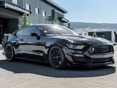 Used 2016 Ford Mustang Shelby GT350