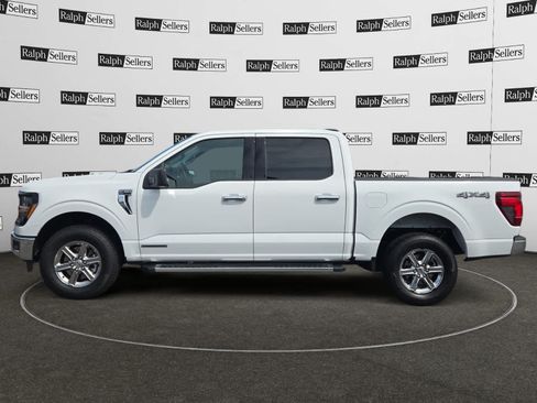 Used 2025 Ford F150 XLT w/ Equipment Group 301A Standard AWD/4WD image 3