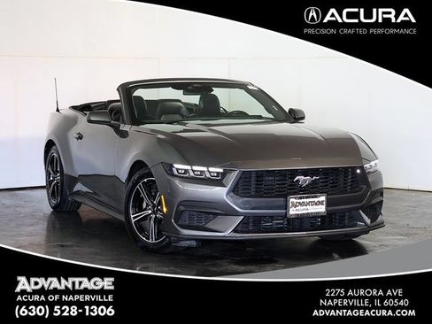 Used 2025 Ford Mustang Premium RWD image 1
