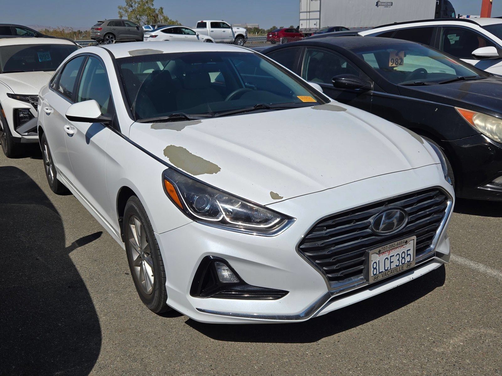 Used 2019 Hyundai Sonata SE FWD image 1
