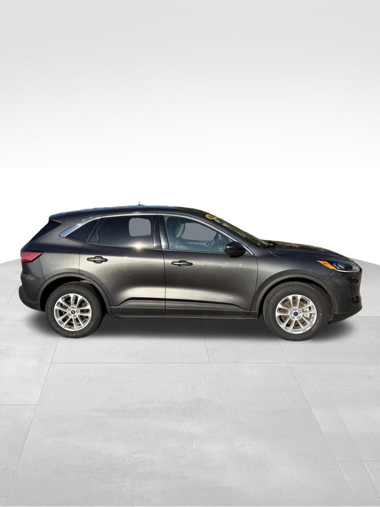 Used 2020 Ford Escape SE AWD/4WD image 4