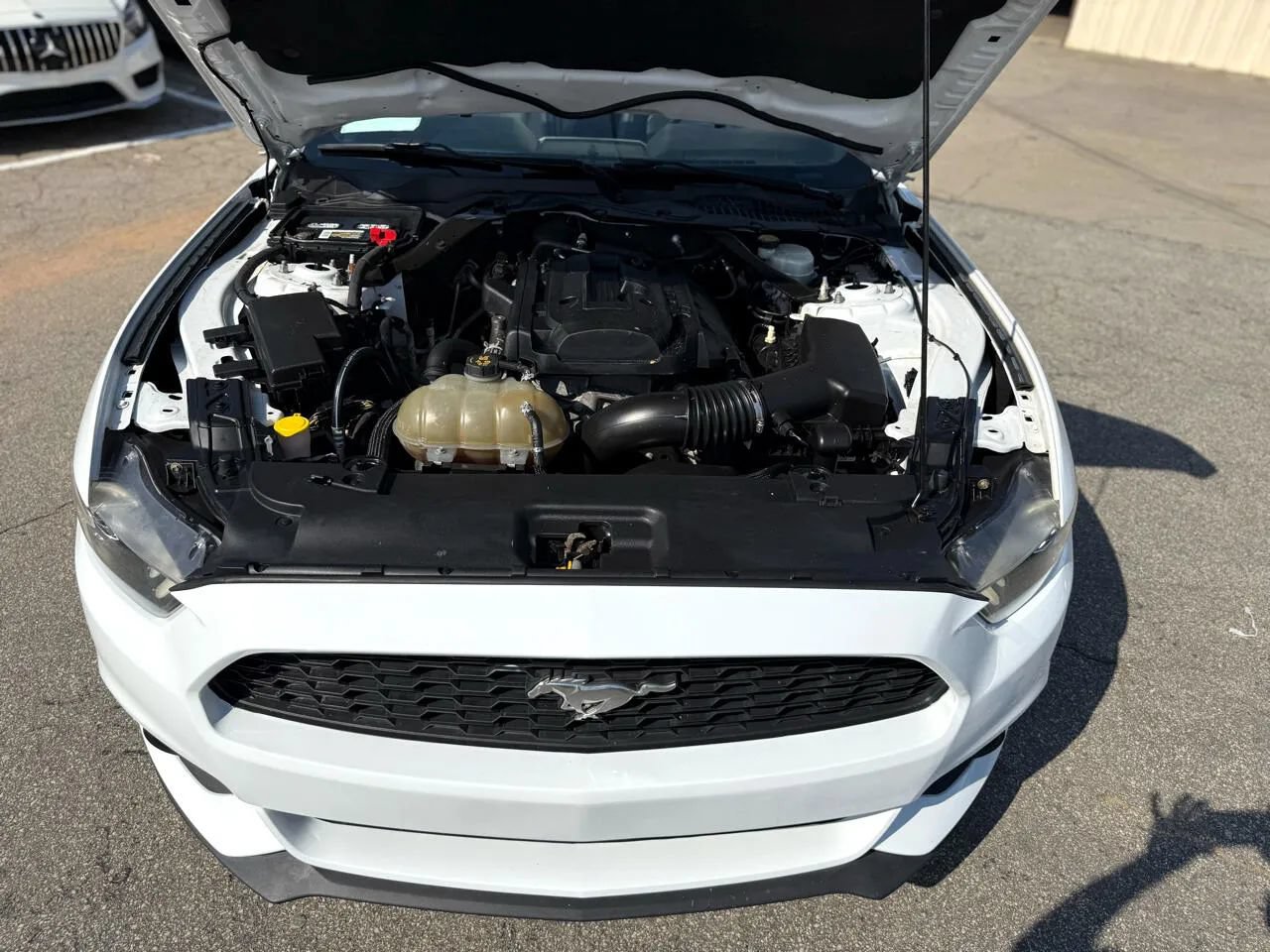 Used 2016 Ford Mustang Premium RWD image 39