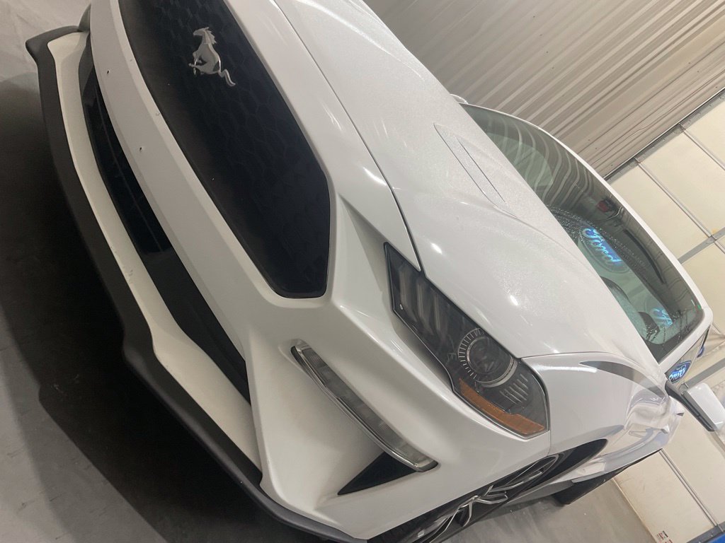 Used 2019 Ford Mustang Coupe w/ Equipment Group 101A RWD image 6