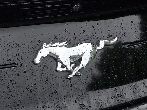 Used 2022 Ford Mustang Premium w/ Equipment Group 201A RWD image 30