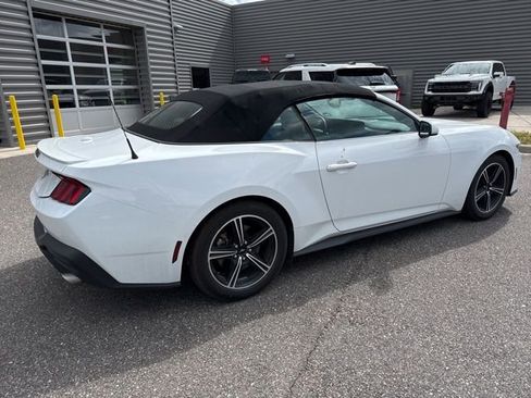 Used 2024 Ford Mustang Premium RWD image 5