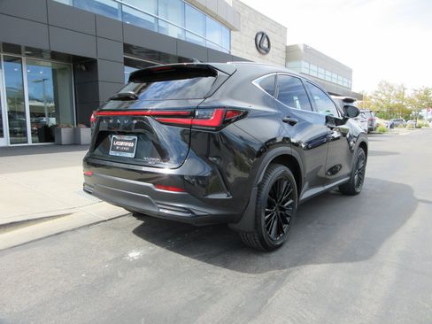 Used 2025 Lexus NX 350h AWD w/ Cold Area Package image 9
