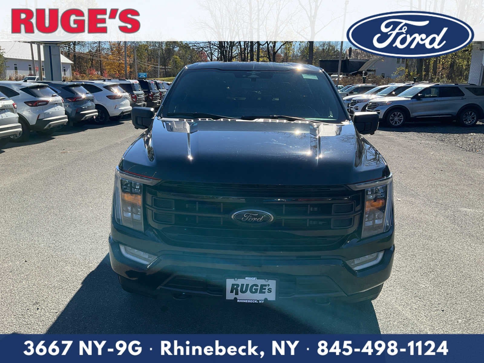 Used 2023 Ford F150 XLT w/ Equipment Group 302A High AWD/4WD image 8