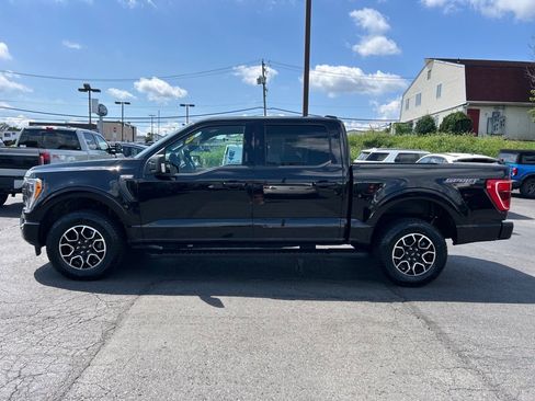 Used 2023 Ford F150 XLT w/ Equipment Group 302A High image 4