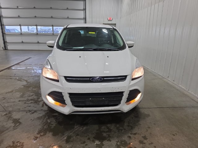 Used 2016 Ford Escape SE AWD/4WD image 3