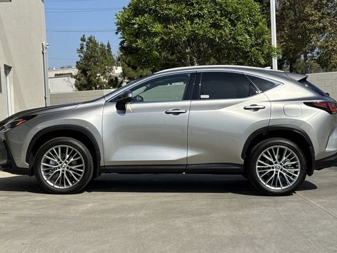 Used 2025 Lexus NX 350 AWD w/ Cold Area Package image 9
