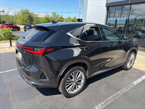 Used 2025 Lexus NX 350h AWD w/ Cold Area Package image 4